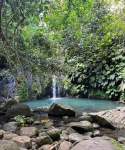 Naturlandskabet i nærheden af lejligheden