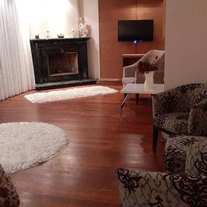 イスタンブールにあるSynosse Park Hotelのリビングルーム(暖炉、ラグ2枚付)