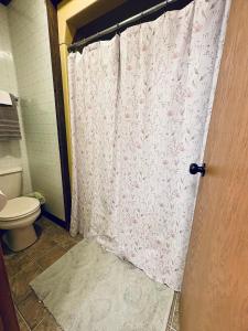 a bathroom with a toilet and a shower curtain at Premium Slope-Side Escape I Alpen Villas at Powderhorn Mountain in Bessemer