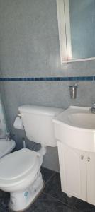 a bathroom with a white toilet and a sink at Casita del Campo in Pomancillo