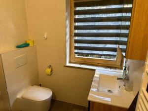 a bathroom with a toilet and a sink and a window at Apartment in Saalfelden near Ski Slopes in Saalfelden am Steinernen Meer +30 photos