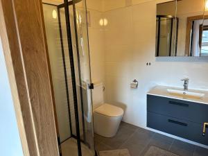 a bathroom with a toilet and a sink at Double room in Saalfelden near Ski Slopes in Saalfelden am Steinernen Meer