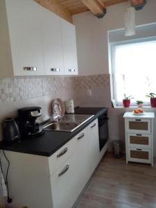 une cuisine avec un évier et un plan de travail dans l'établissement Apartments with parking space Valpovo, Slavonija - 24020, à Valpovo 5 autres photos