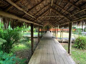 a wooden walkway under a thatched roof in a park at Amazon Symphony Lodge in Venturosa
