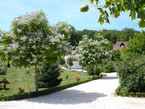 a garden with flowering trees and a driveway at Hameau les Combelles in Martel