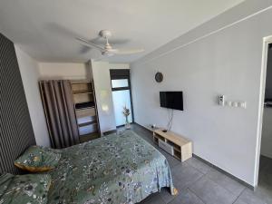 Μια τηλεόραση ή/και κέντρο ψυχαγωγίας στο Les Aubépines 2