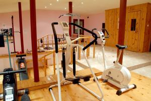 Fitness centrum a/nebo fitness zařízení v ubytování Hotel Prespa