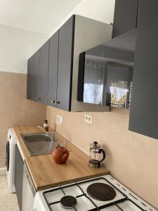una cucina con lavello e fornello forno superiore di Escapade en Périgord a Villefranche-du-Périgord Altre 8 foto