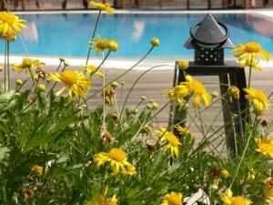 a lamp post with yellow flowers next to a pool at Alkyon Villas in Syvota