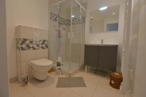 a bathroom with a shower and a toilet and a sink at La belle escale landaise - PDJ inclus, parking, gare & proche Hossegor in Saint-Vincent-de-Tyrosse