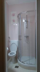 a bathroom with a toilet and a glass shower at Rooms Ante in Tribanj-Krušćica