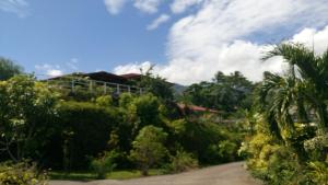 Gallery image of Piafau Hills in Faaa