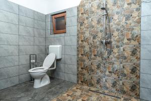 a bathroom with a toilet and a shower at Adlin in Homokcsárda