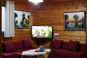 TV a/nebo společenská místnost v ubytování Chen Ba'Galil