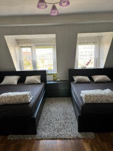 dwa łóżka w sypialni z dwoma oknami w obiekcie NaturHouse Poznań w Poznaniu +13 zdjęć