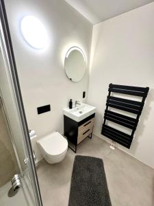 a bathroom with a toilet and a sink and a mirror at Ferienwohnung Markkleeberg Zentrum in Markkleeberg +18 photos