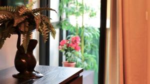 a plant in a vase sitting on a table next to a window at Les Suites Bari Italian Excellence Bed and Breakfast in Bari