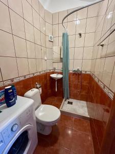 une salle de bain avec toilettes et lavabo et une machine à laver dans l'établissement Apartments Lazarević, à Kotor 44 autres photos