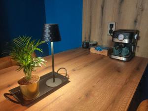 a room with a table with a plant and a coffee maker at obonheurdu paon in Arques +11 photos