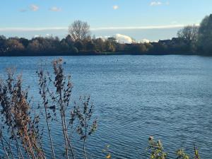 a large body of water with trees in the background at obonheurdu paon in Arques