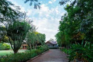 a driveway leading to a house with trees at Buffalo Villa in Boma la Ngombe