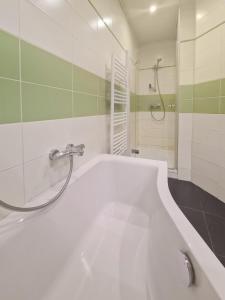 A bathroom at CityApt Wolfik Stockerau