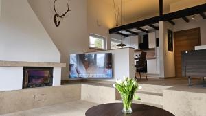 a living room with a tv and a fireplace at Landhaus-Wald-und-See-3 in Koosbüsch +14 photos