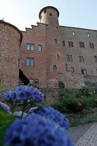 a large brick building with a tower on it at Landhaus-Wald-und-See-3 in Koosbüsch