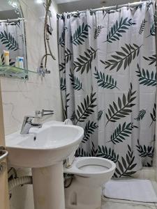 カイロにあるPhilo Hotelのシャワーカーテン付きのバスルーム、トイレと洗面台