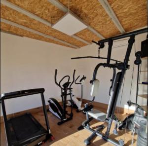 a gym with several tread machines in a room at LES MAISONS DU PATY in Arles