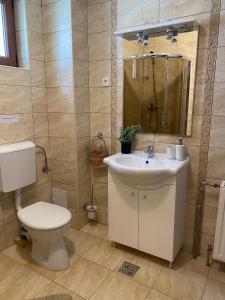 イズボル・ムレシュルイにあるGyopár Panzió & Kulcsoházのトイレと洗面台付きのバスルーム +23枚の写真