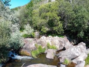 a stream of water with rocks and trees at Cabaña Ikizen II in Barbadillo del Pez +2 photos