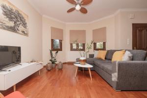 a living room with a couch and a tv at Villa Anemos in Potamós