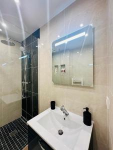 a bathroom with a sink and a shower with a mirror at Wonderful home for 6 Personnes La Défense Arena in Nanterre