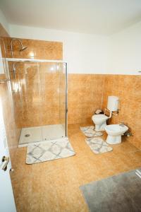 ボルシャにあるCasa Gabiのシャワーとトイレ付きのバスルーム