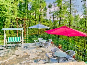 Příroda nedaleko hotelu + 24 fotografií