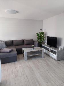 a living room with a couch and a tv at Haus Angel-am See in Heldrungen