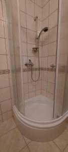 a shower with a glass door in a bathroom at Anja&Nika in Osijek +16 photos