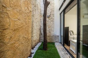 Jardí fora de Two-Condos House in Great location with Rooftop and Pool and BBQ