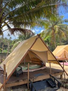a tent on a beach with a palm tree at Long Beach Camp in Perhentian Islands