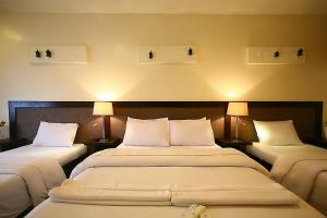 Postel nebo postele na pokoji v ubytování Baguio Holiday Villas