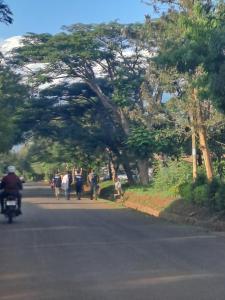 モシにあるHans kili homeの木道を歩く人々