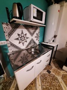 una cucina con lavello e microonde di Moni Moni 1 a Río Gallegos