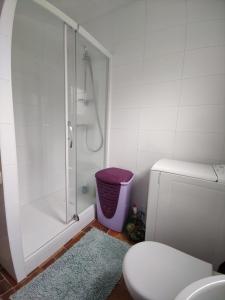 een badkamer met een douche, een toilet en een tapijt bij Villa de la fontaine vue mer in Paimpol +16 foto's