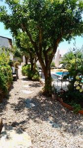 a walkway with a tree and a table and chairs at Casa Castilho in Casais
