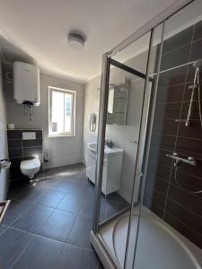 a bathroom with a shower and a toilet and a sink at Apartments Villa Eva in Slano +75 photos