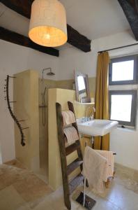 a bathroom with a sink and a shower and a mirror at B&B Champdelaplume in Barjac