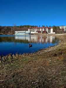 a building on the shore of a lake with ducks in the water at Rebeka Luxury Apartment in Tryavna
