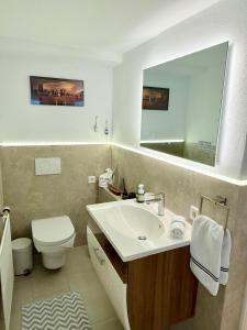 a bathroom with a sink and a toilet and a mirror at THE PANAMERICANA, Air-Conditioned, 4K HD TV, Bose, Lounge in Riedstadt +12 photos