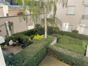 a small garden with a tree on a balcony at Grenier a sel hyper centre magnifique studio in Reims